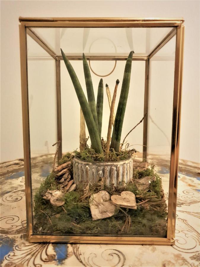 Castle Rooms 普拉托 外观 照片