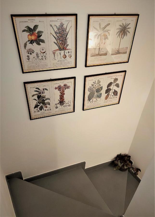 Castle Rooms 普拉托 外观 照片