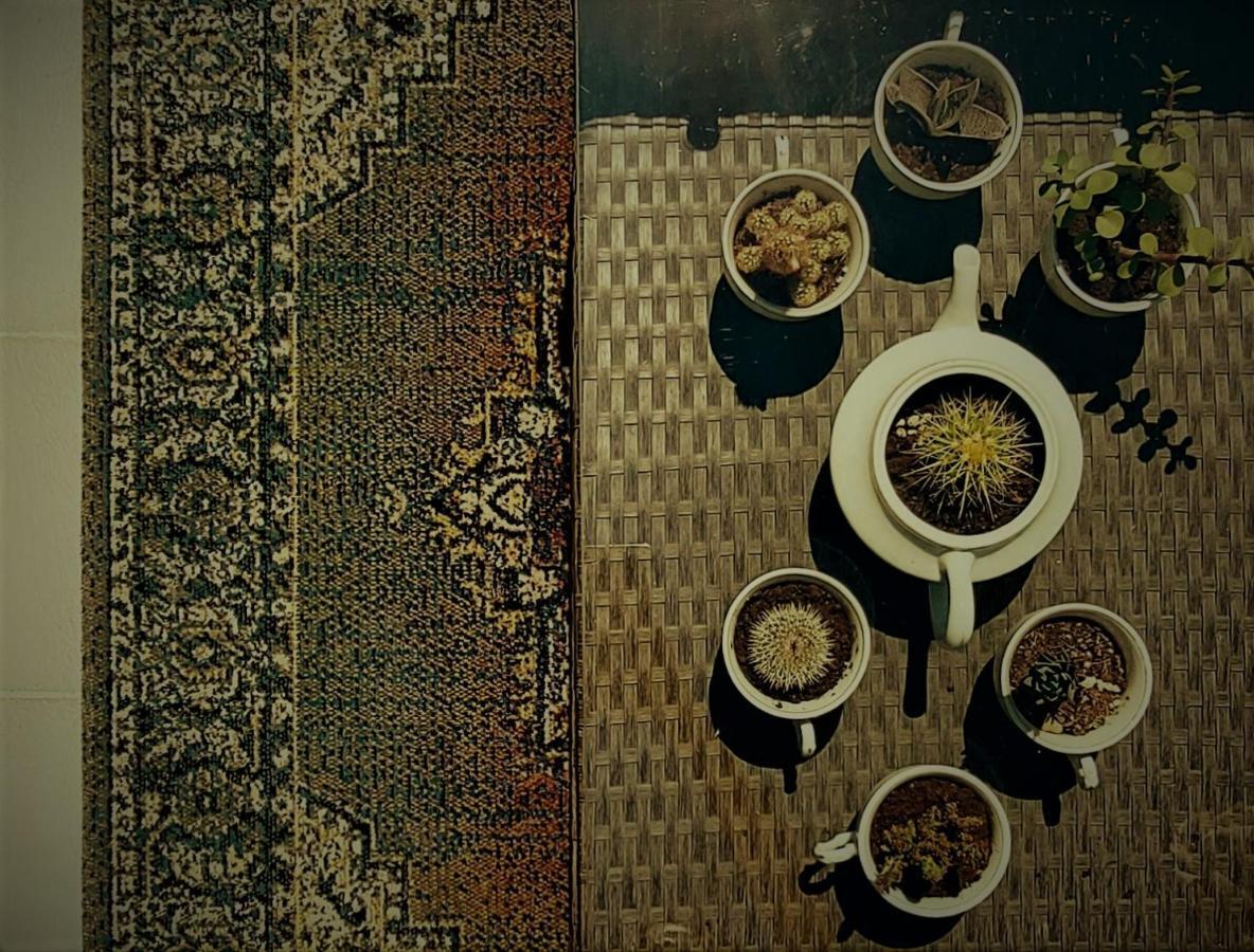 Castle Rooms 普拉托 外观 照片